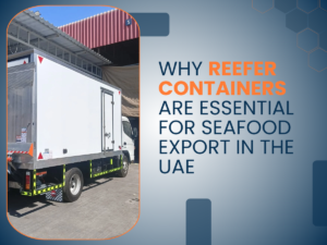 Reefer Containers Are Essential for Seafood Export