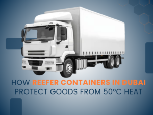 Reefer Containers in Dubai
